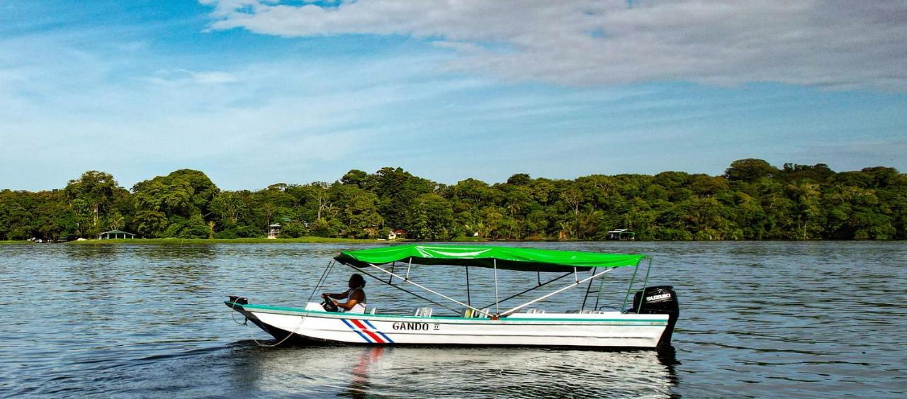 Departamento 7 Tortuguero Apartman Kültér fotó