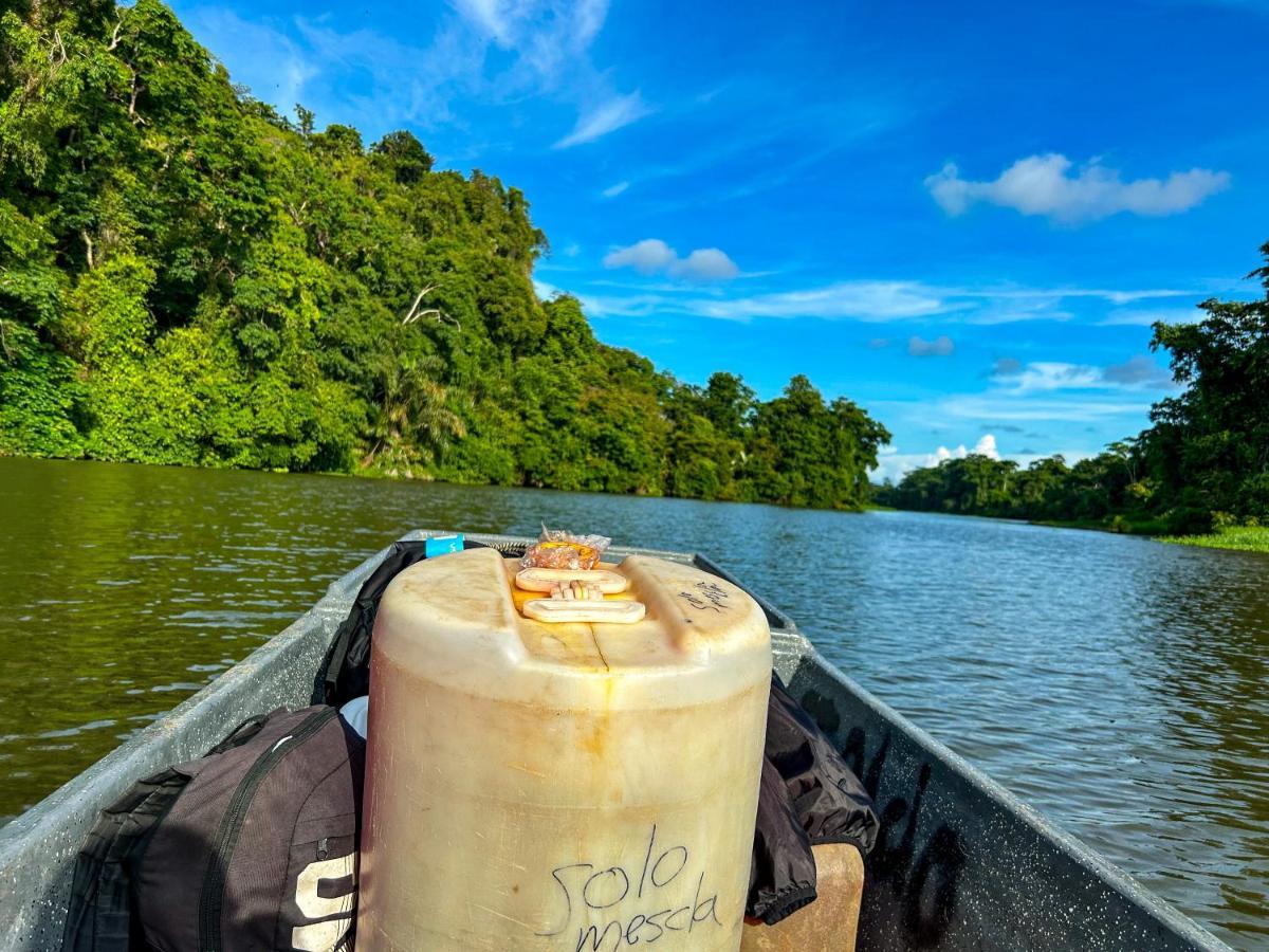 Departamento 7 Tortuguero Apartman Kültér fotó